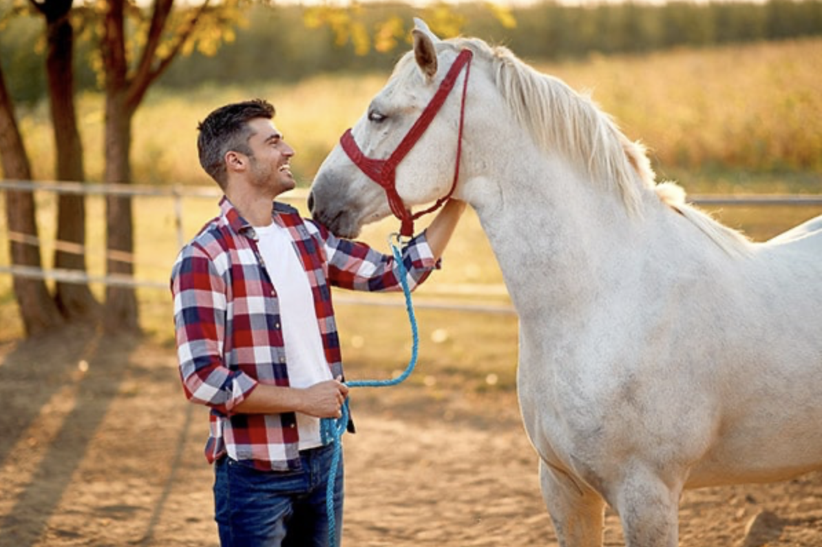 Pferdepfleger hält weißen Schimmel an den Zügeln und streichelt ihn – Personalvermittlung Pferdepfleger durch EastRecruiting